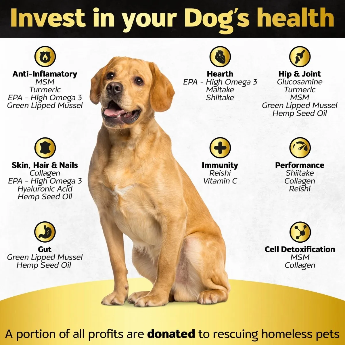 30 Hip and Joint Chews    Skin and Coat Supplement