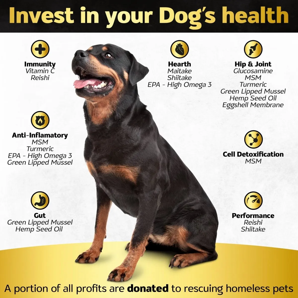 90 Soft chews Max Strength - Hip and Joint Supplement for Dogs