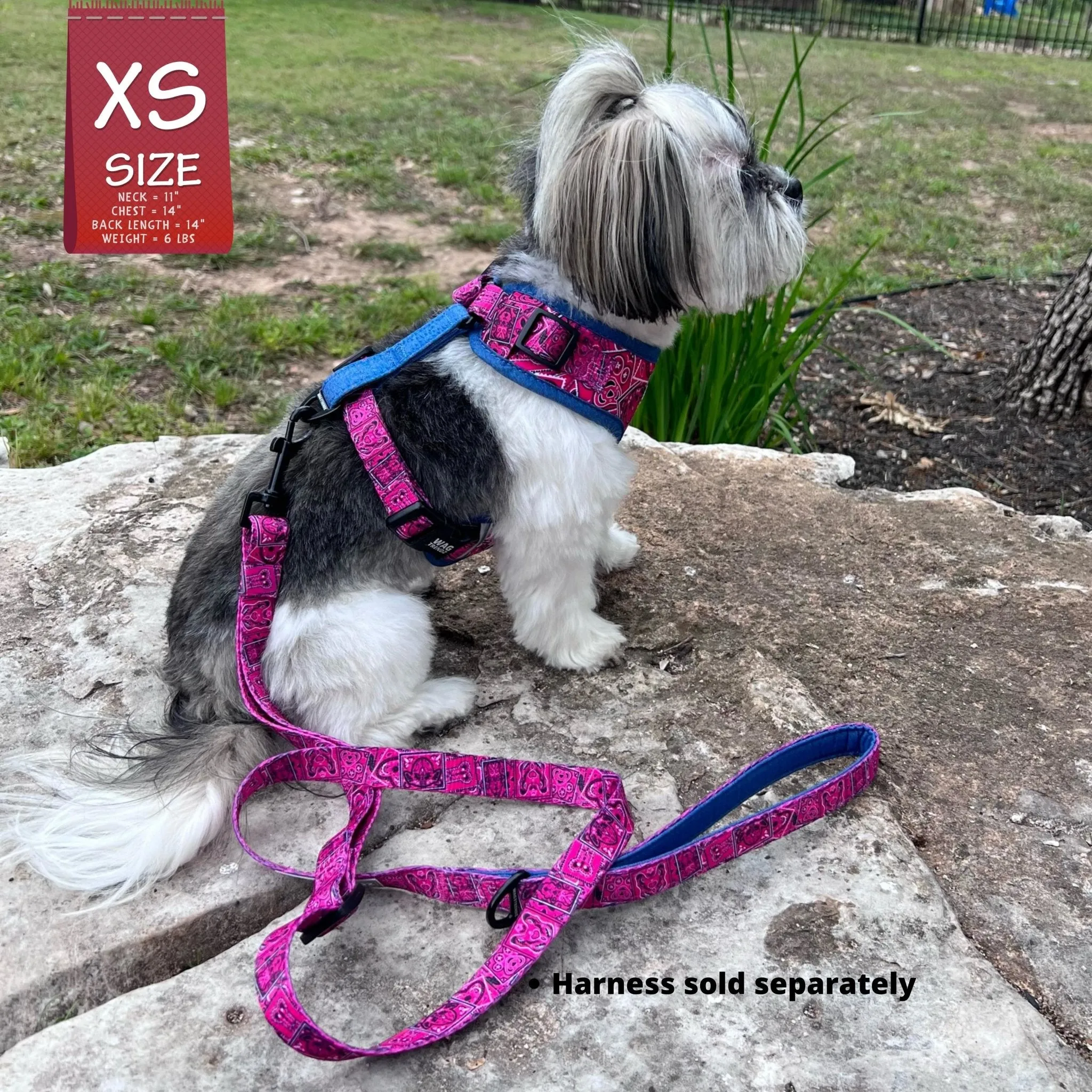 Adjustable Dog Leash | Bandana Boujee Hot Pink