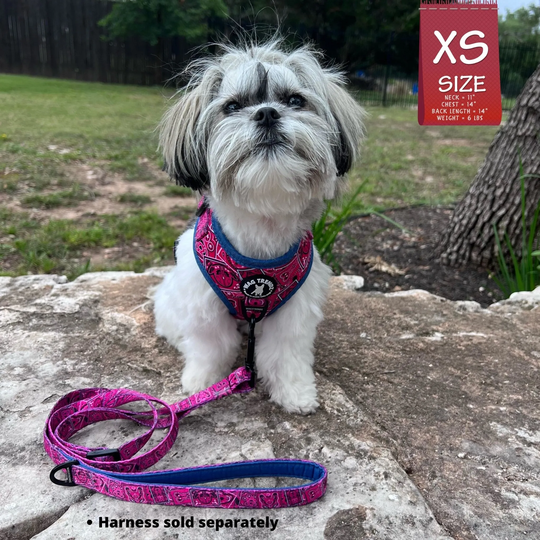 Adjustable Dog Leash | Bandana Boujee Hot Pink