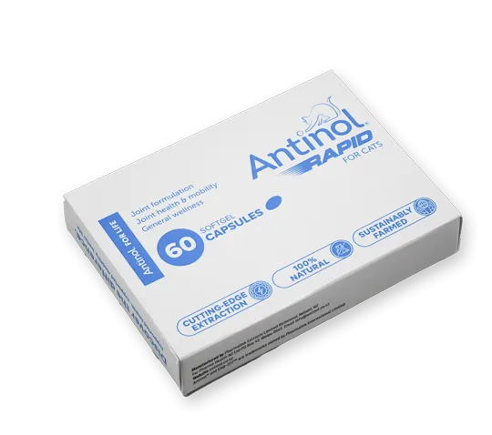 Antinol Rapid for Cats