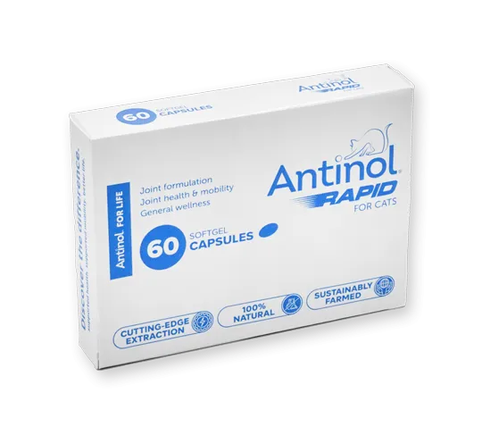 Antinol Rapid for Cats