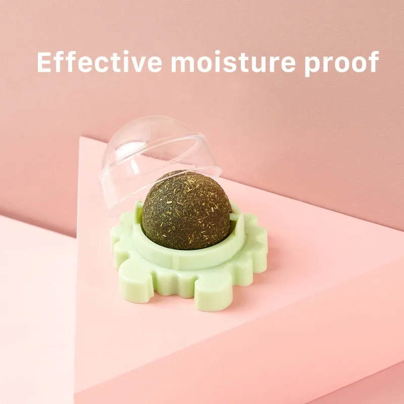 Best Natural Healthy Cat Catnip Rotating Energy Ball Interactive Cat Toy