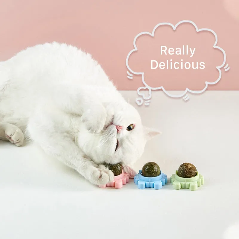 Best Natural Healthy Cat Catnip Rotating Energy Ball Interactive Cat Toy