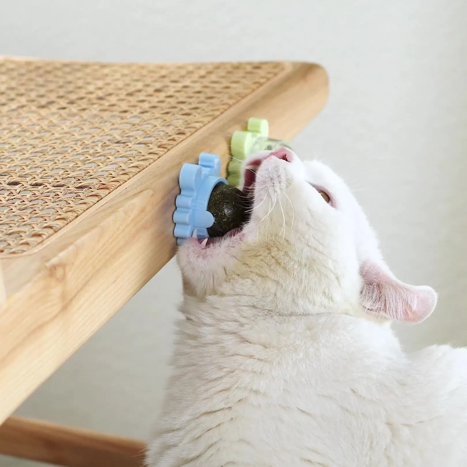 Best Natural Healthy Cat Catnip Rotating Energy Ball Interactive Cat Toy
