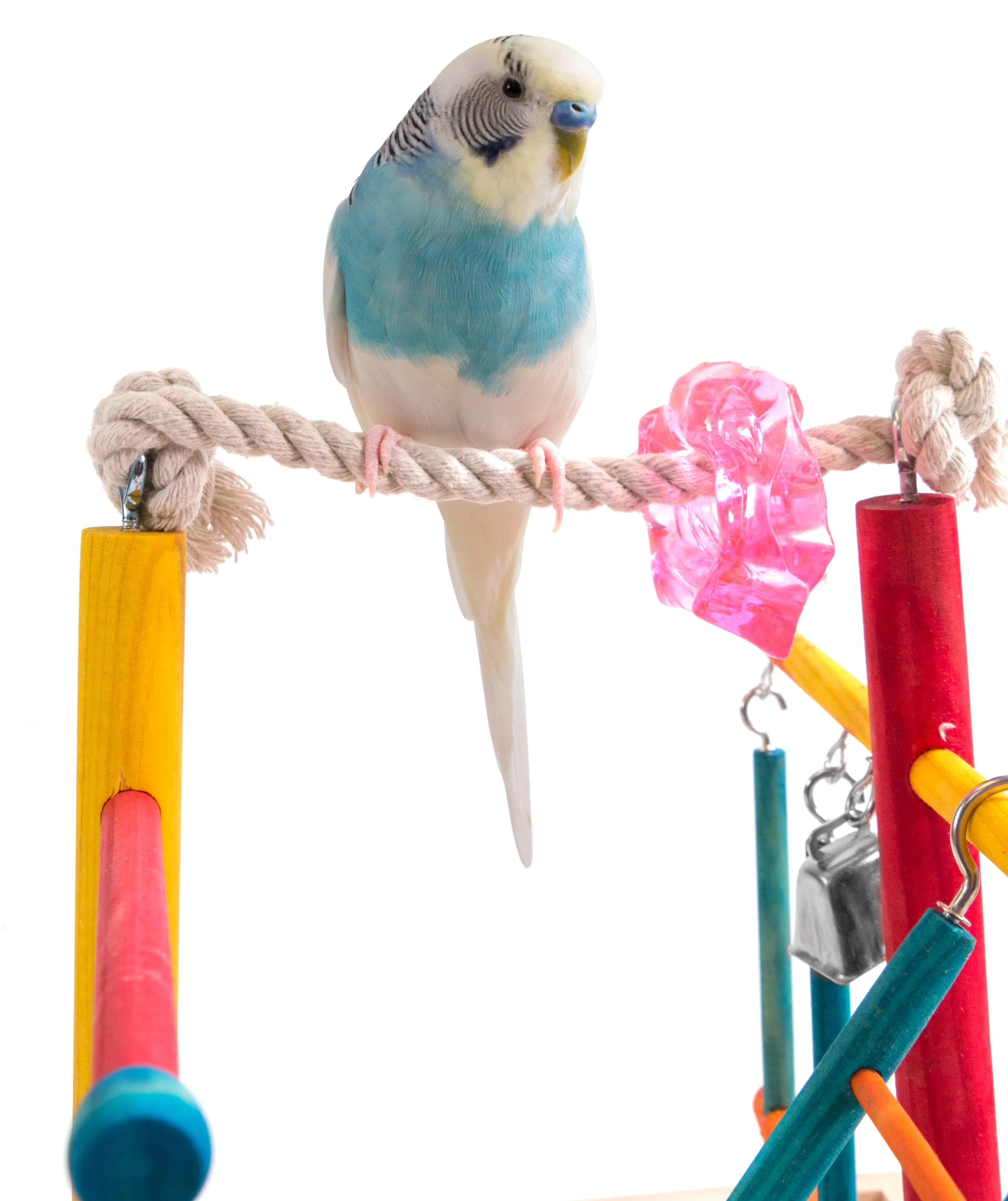 Bird Life Wood Playpen