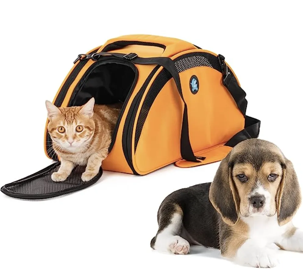 Bonofido Bingo Carrier - Orange