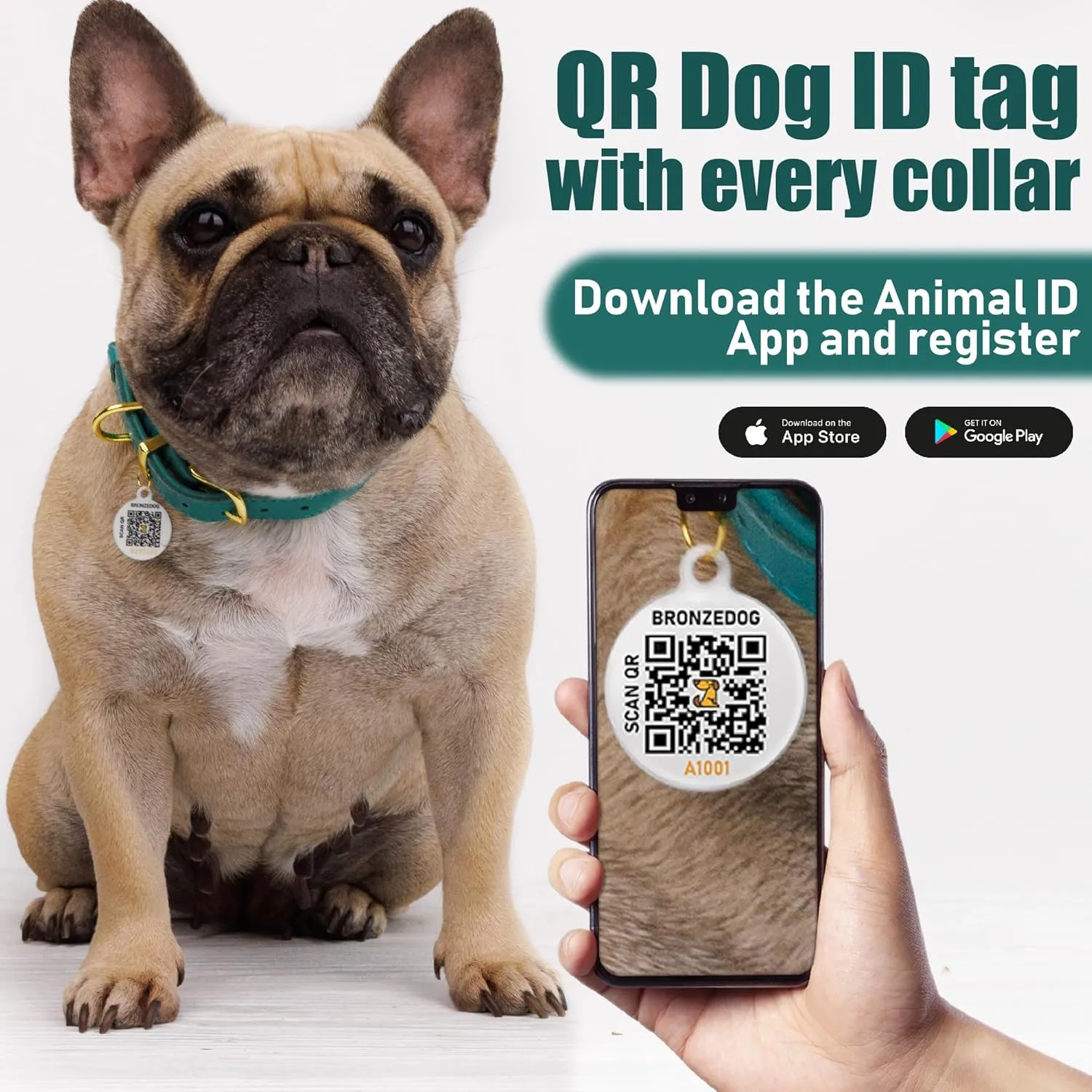BRONZEDOG Leather Dog Collar with QR ID Tag Basic Pet Collars for Small Mini Dogs Cats Puppies (7-9 Inch (Pack of 1), Purple & Gold Buckle)