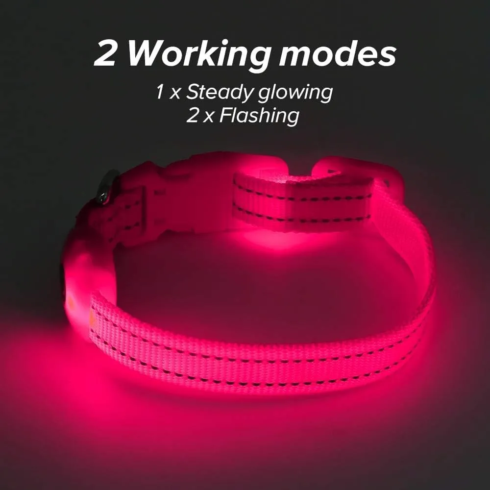 BSEEN Light Up Dog Collar - Reflective LED Dog Collar Rechargeable Glowing Pet Collar for Puppies & Cats, Safety Dog Lights for Night Walking (Pink)