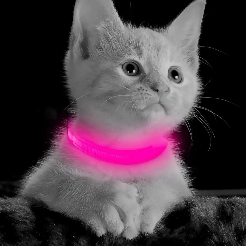 BSEEN Light Up Dog Collar - Reflective LED Dog Collar Rechargeable Glowing Pet Collar for Puppies & Cats, Safety Dog Lights for Night Walking (Pink)