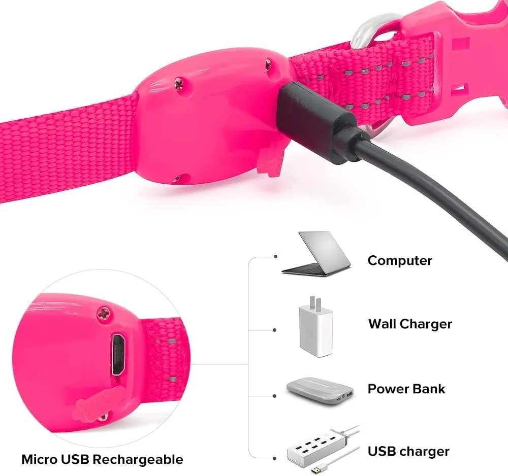 BSEEN Light Up Dog Collar - Reflective LED Dog Collar Rechargeable Glowing Pet Collar for Puppies & Cats, Safety Dog Lights for Night Walking (Pink)