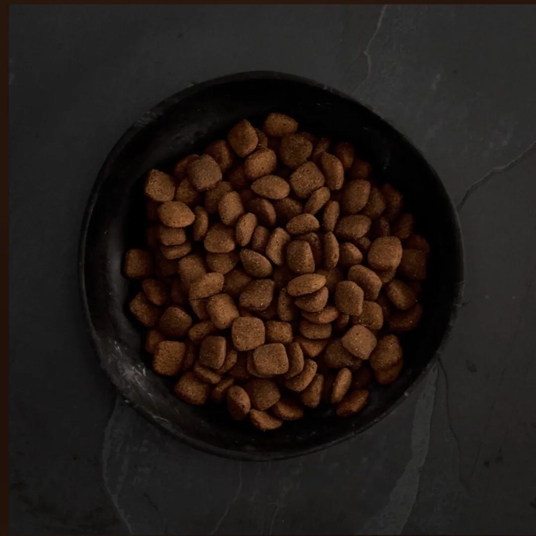 Canagan Grass Fed Lamb Dog Food