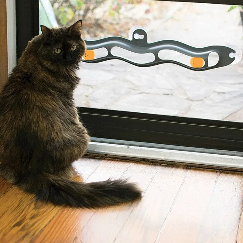 Cat Interactive Track Ball