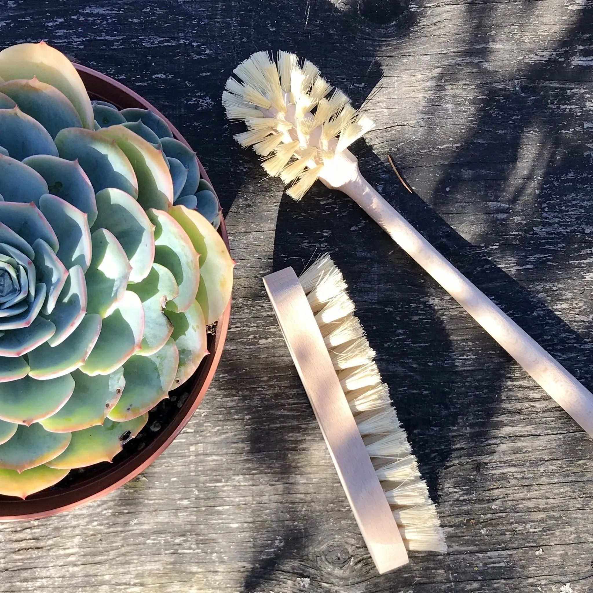 Cleaning Brushes: Tampico