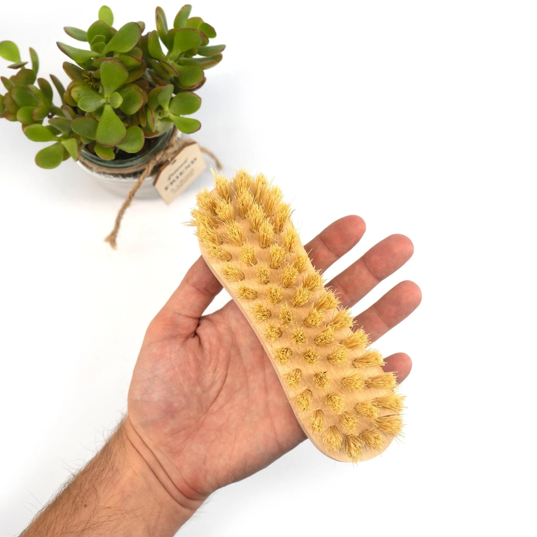 Cleaning Brushes: Tampico