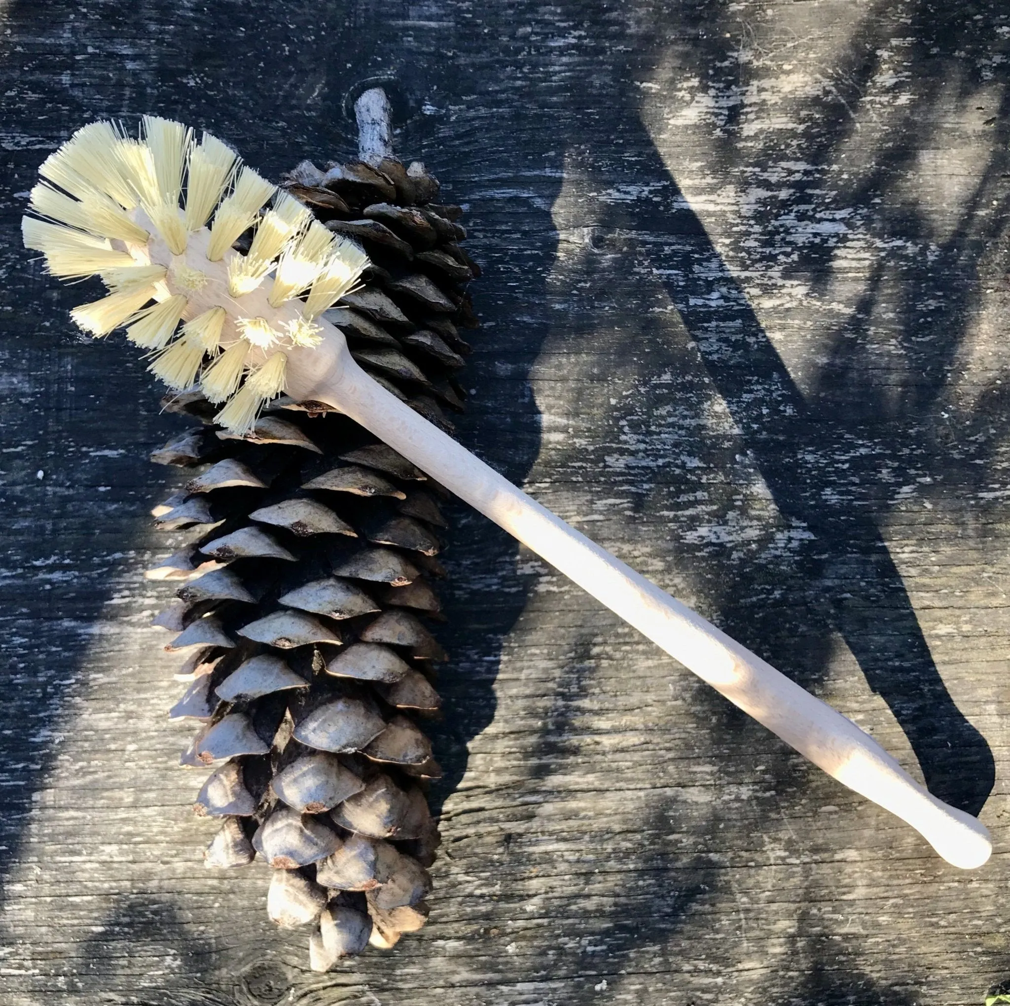 Cleaning Brushes: Tampico