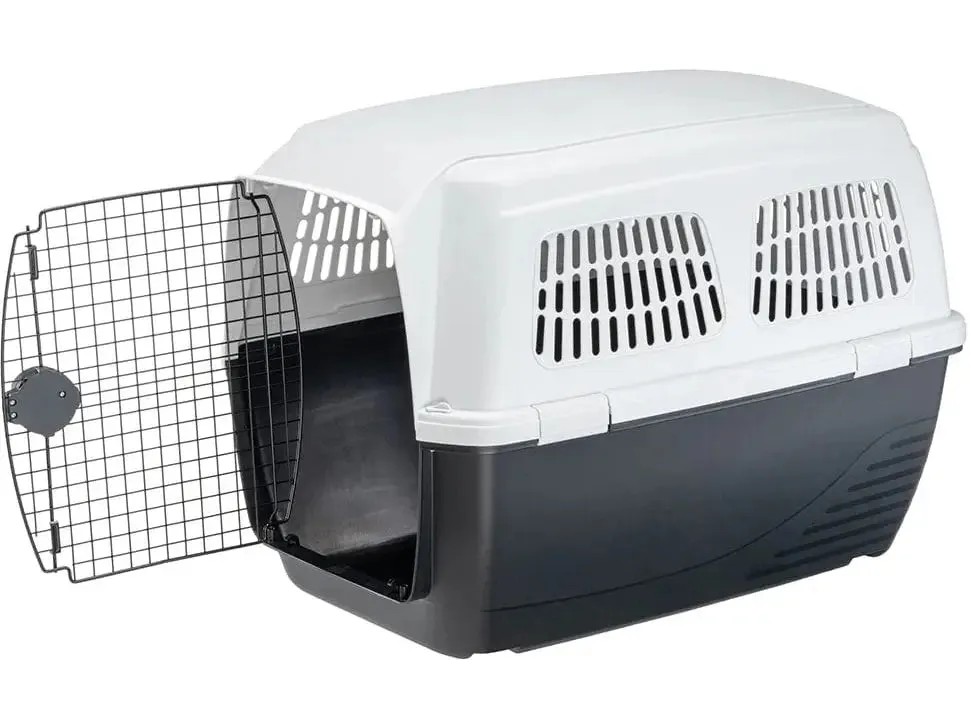 Clipper 6 Carrier