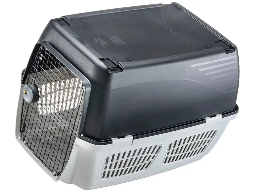 Clipper 6 Carrier