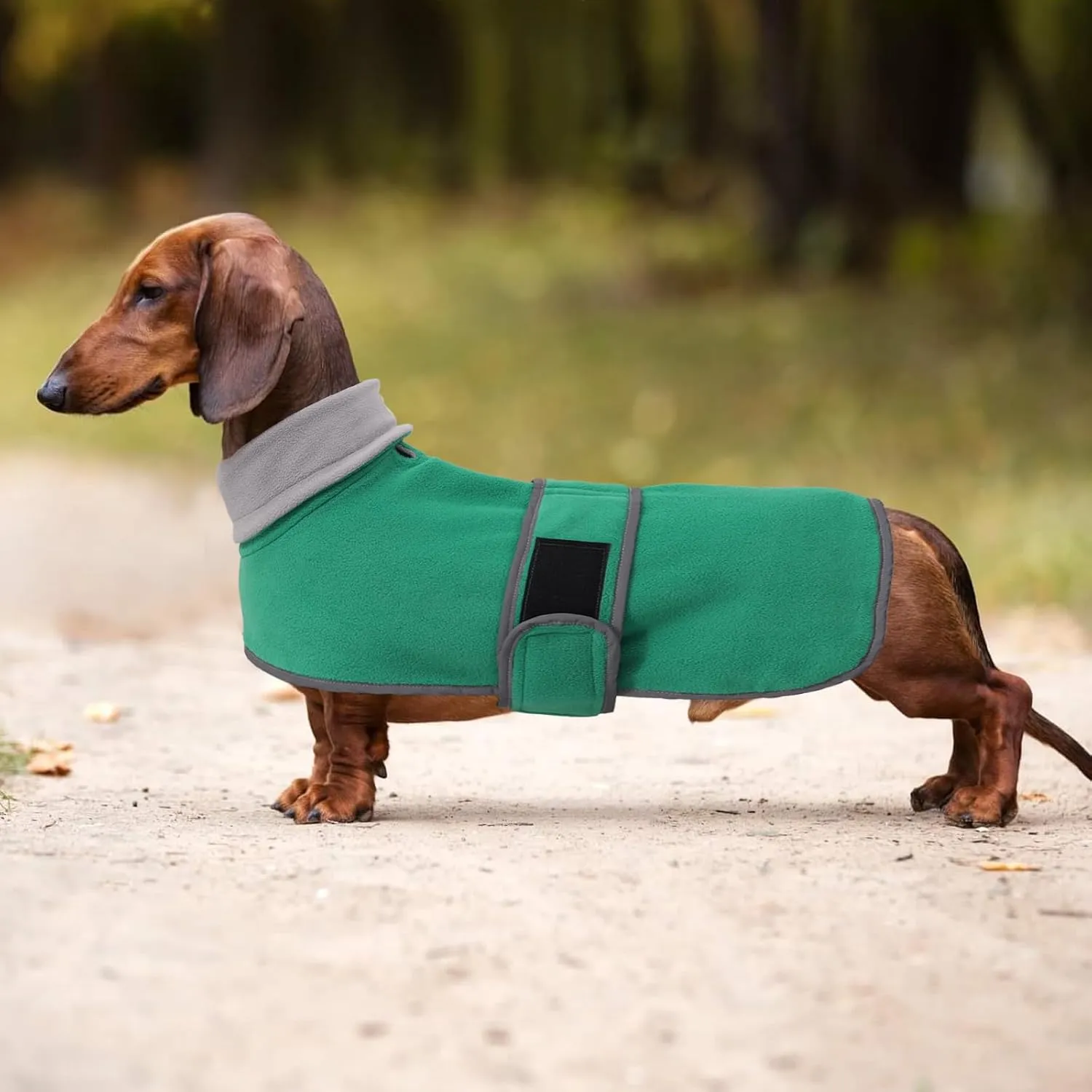 Dachshund Coats Sausage Dog Fleece Coat in Winter Miniature Dachshund Clothes with Hook and Loop Closure and high vis Reflective Trim Safety - Green - S