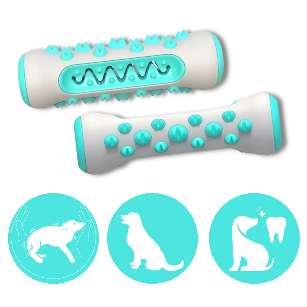 Dental Care Chew Toy for Dogs