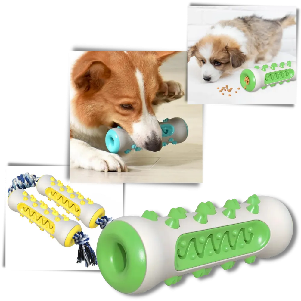 Dental Care Chew Toy for Dogs