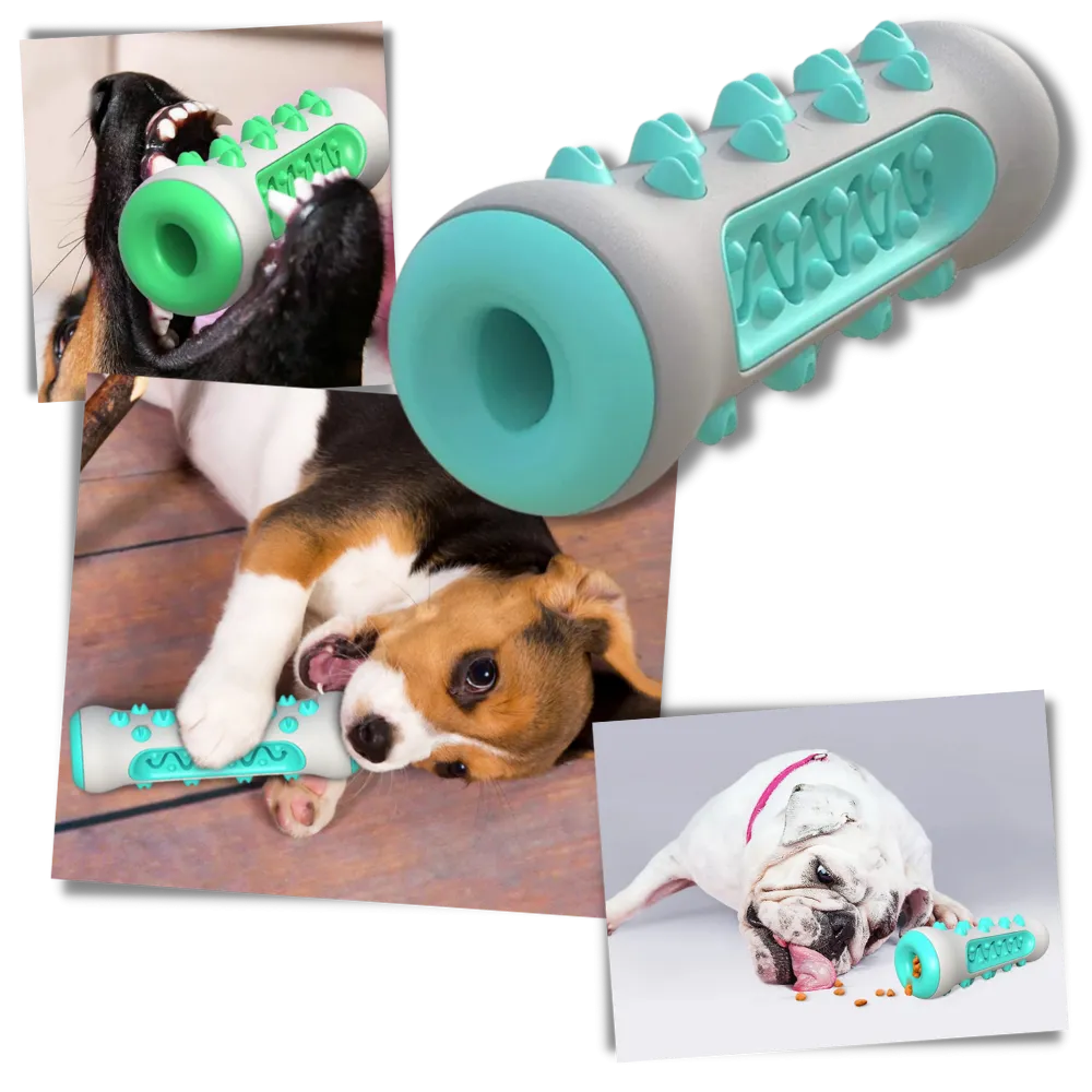 Dental Care Chew Toy for Dogs