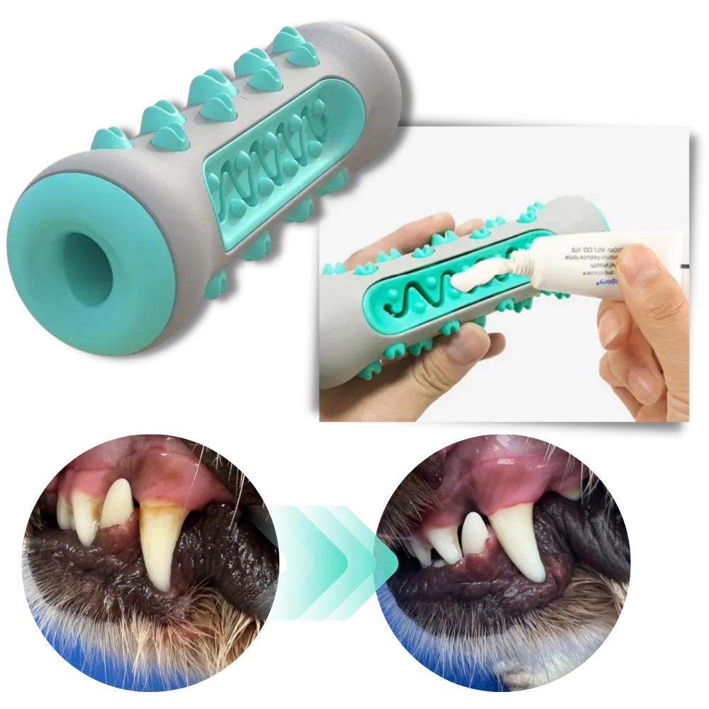 Dental Care Chew Toy for Dogs