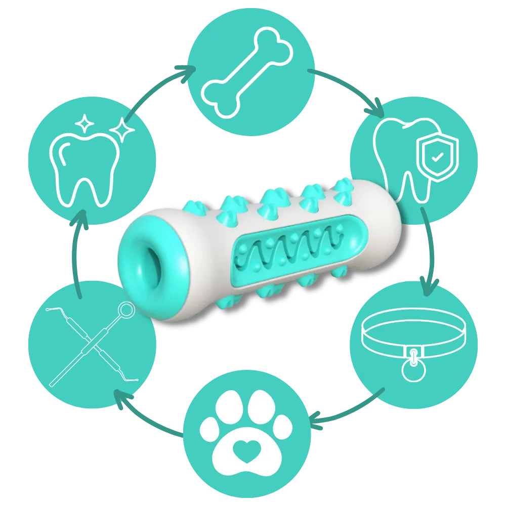Dental Care Chew Toy for Dogs