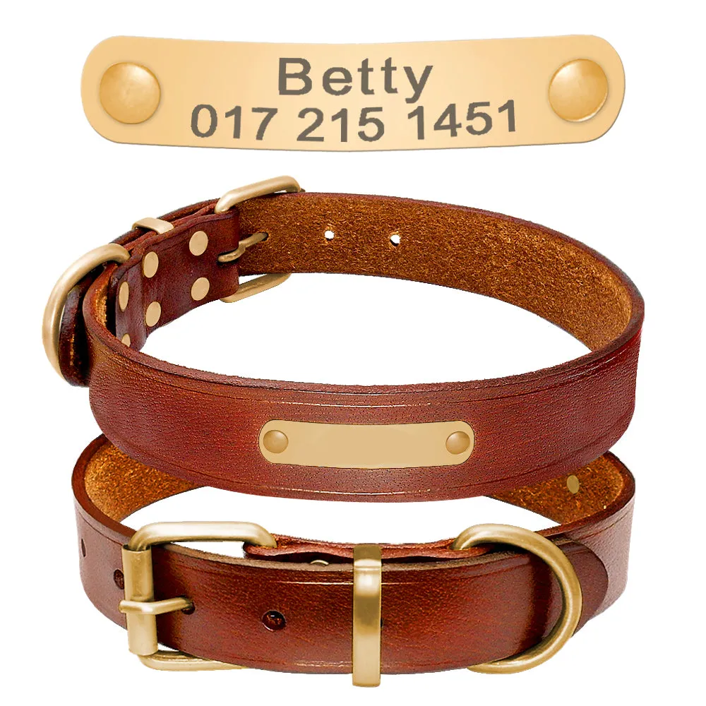 Dog Skin Collar