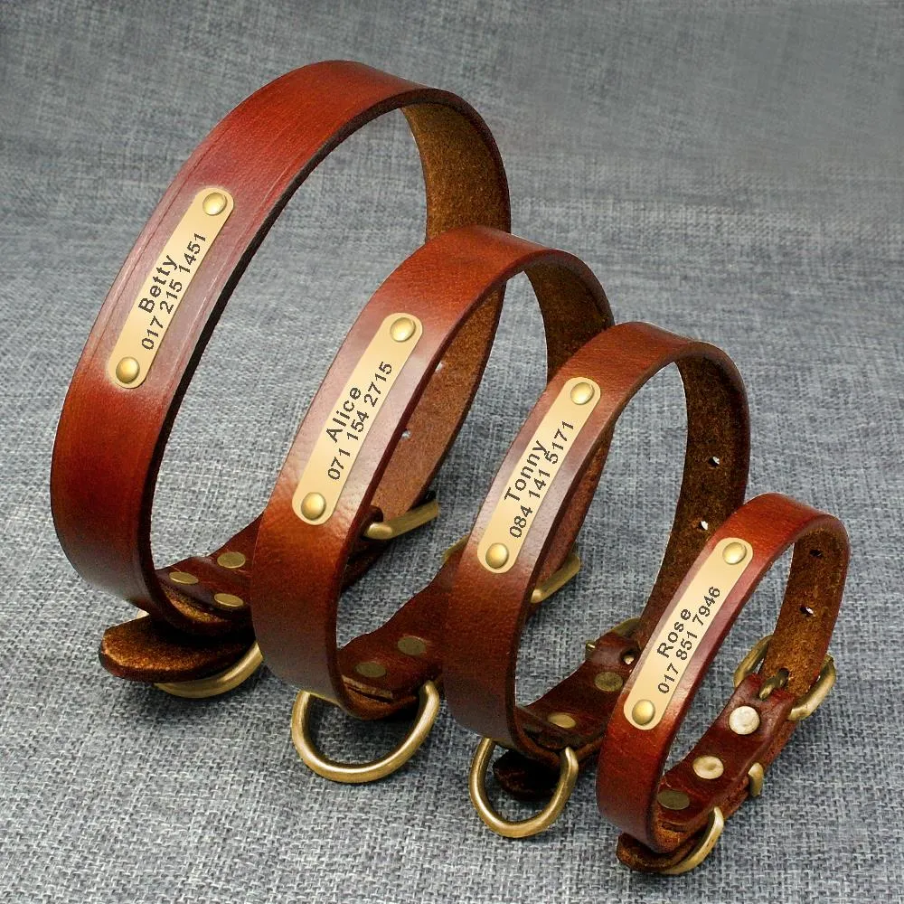 Dog Skin Collar