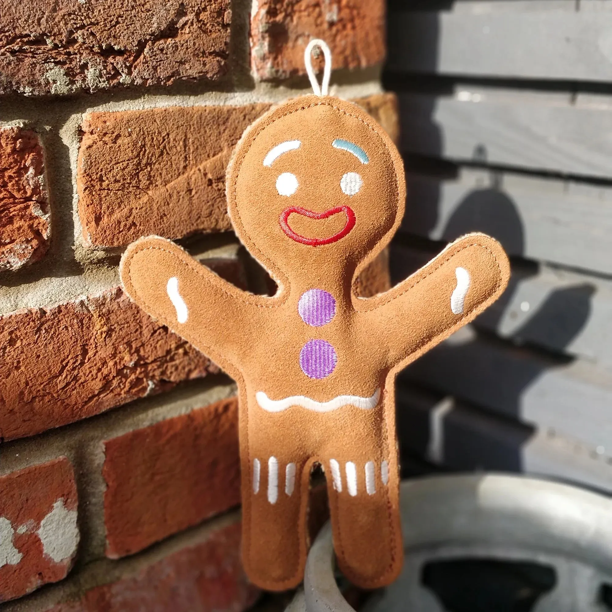 Festive Gingerbread Person Eco Dog Toy