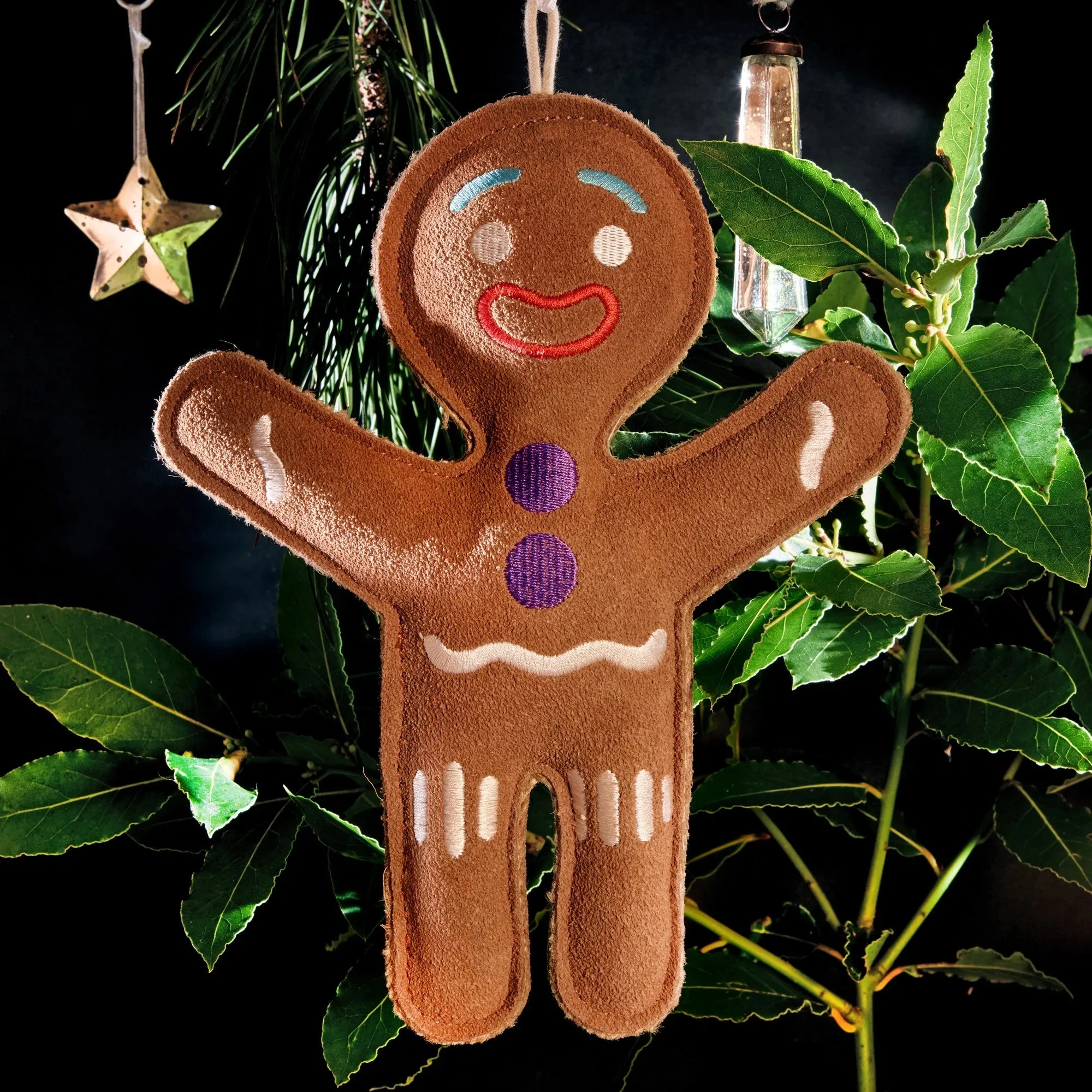 Festive Gingerbread Person Eco Dog Toy