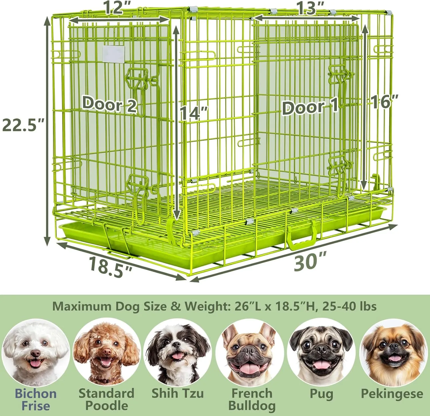 Green Dog Cage for Small Dogs, Collapsible 30 Inch Dog Crate, Metal Wire Dog Kennel Indoor/Outdoor with Removable Floor Grid Tray, Double Doors Dual Locks, Carrying Handle