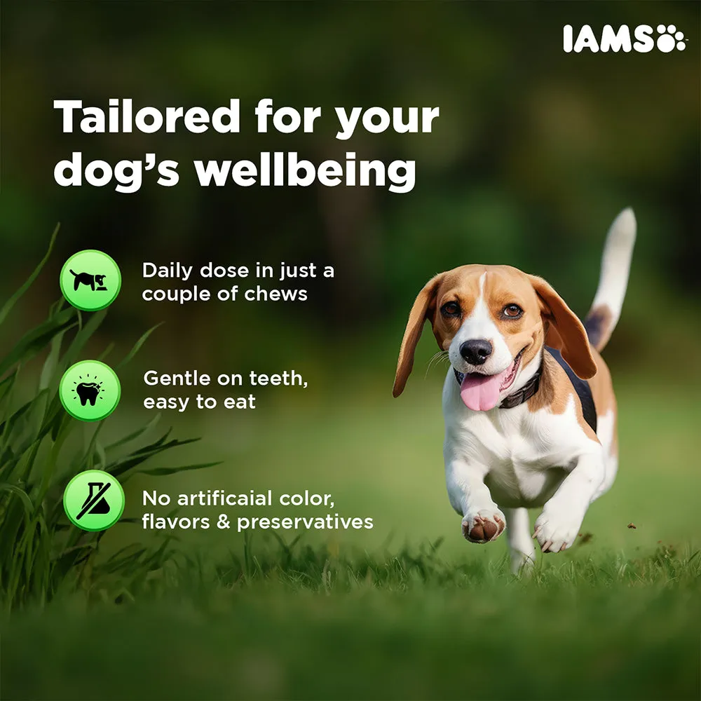 IAMS Proactive Health Dog Supplement For Joint Support (Limited Shelf Life) (Buy 1 Get 1)