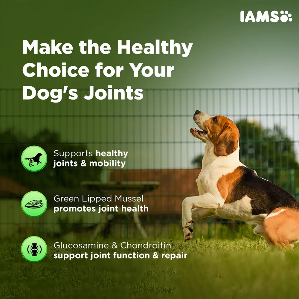 IAMS Proactive Health Dog Supplement For Joint Support (Limited Shelf Life) (Buy 1 Get 1)