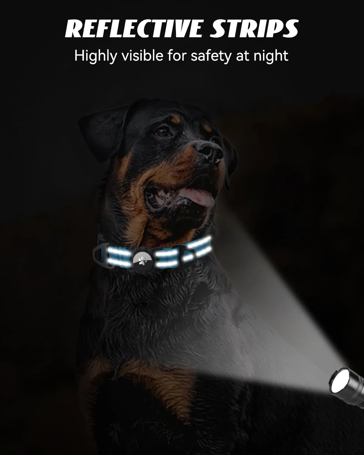 Joytale Airtag Dog Collar, Reflective Pet Collar with Waterproof AirTag Holder, Dual D-Rings, Soft Padded Adjustable for Extra Large Dogs, SkyBlue, XL