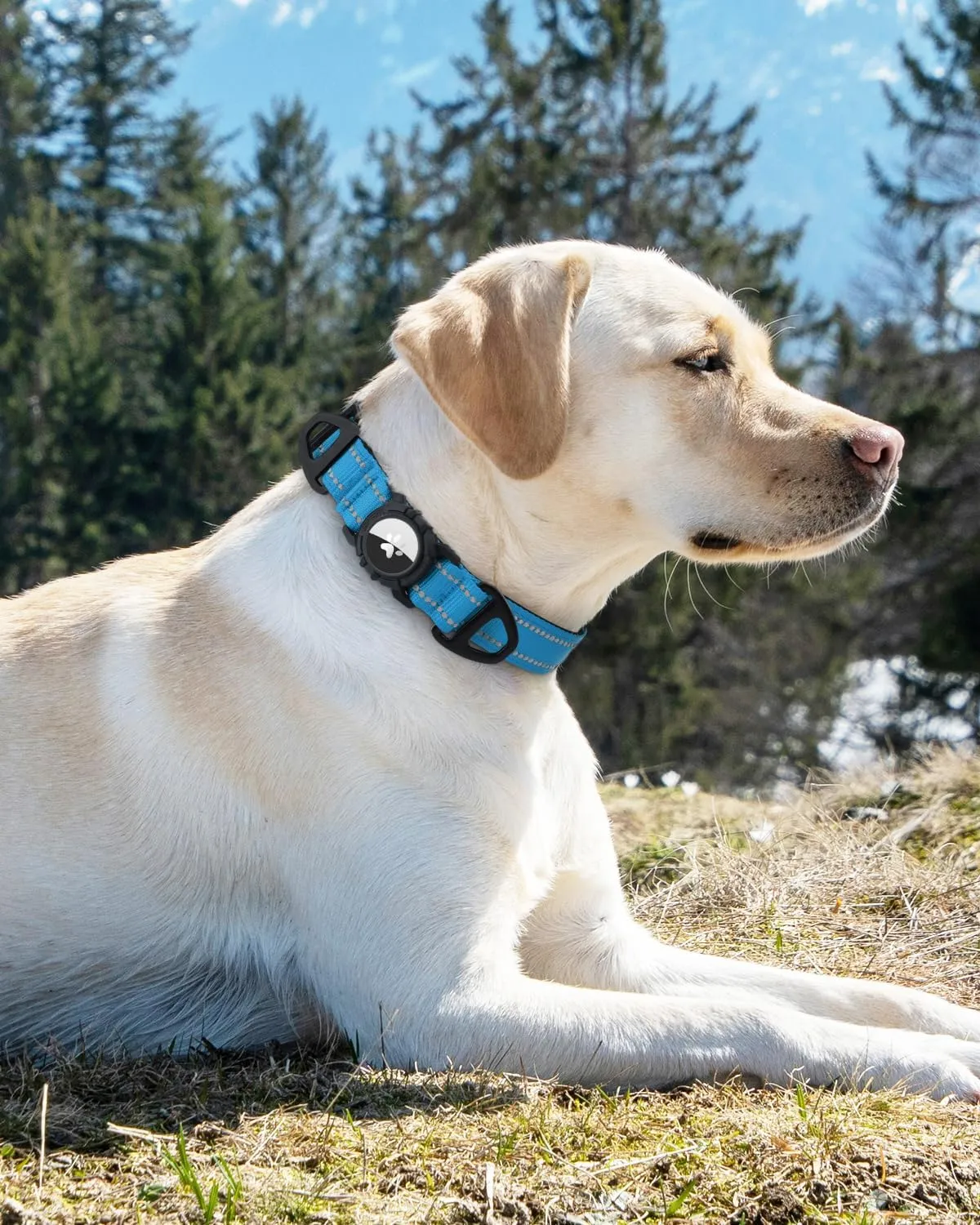 Joytale Airtag Dog Collar, Reflective Pet Collar with Waterproof AirTag Holder, Dual D-Rings, Soft Padded Adjustable for Extra Large Dogs, SkyBlue, XL