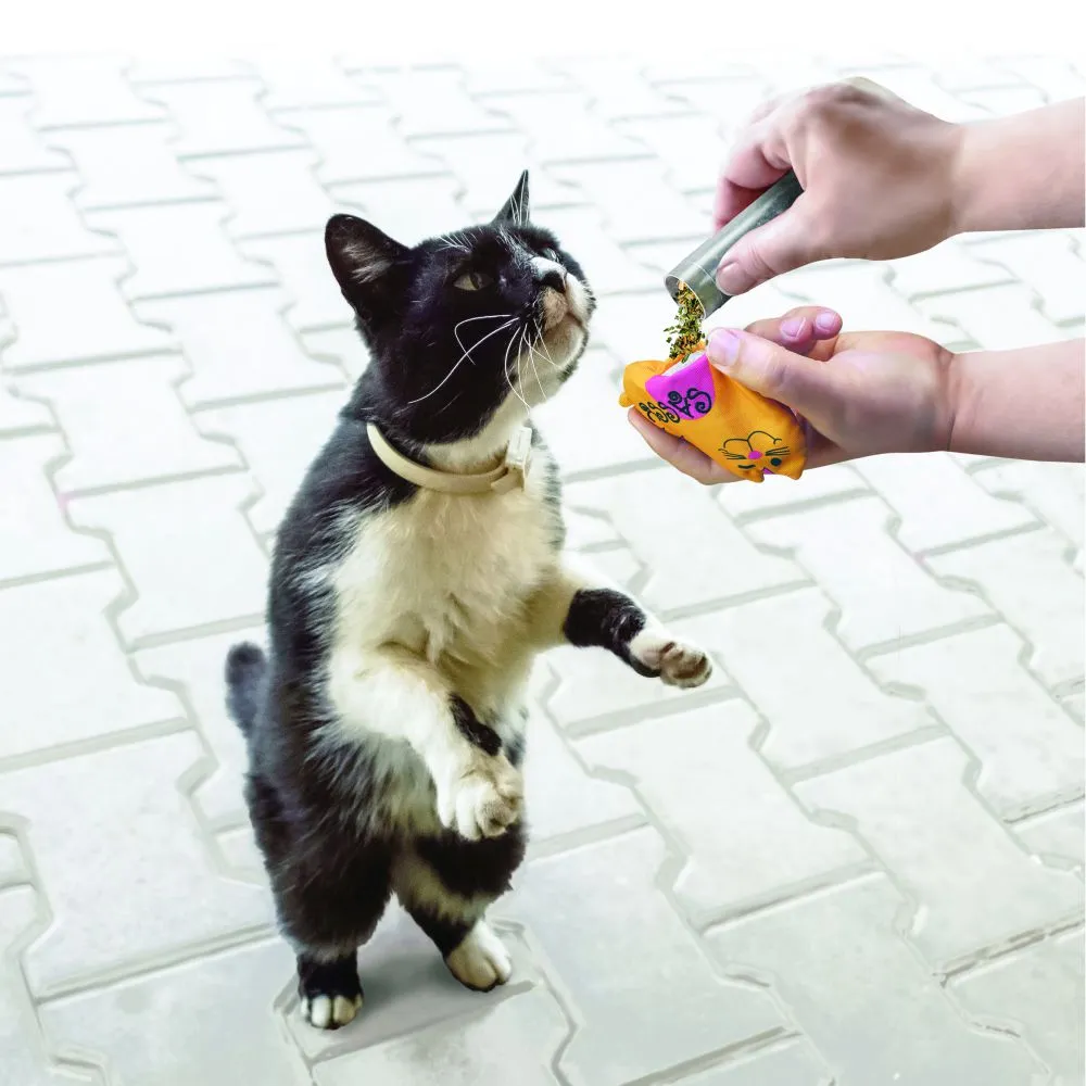 Kong - Naturals Refillables Catnip tubes - 3 Tubes