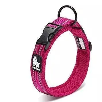 Large Dog Collars