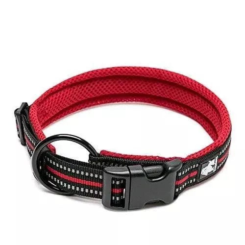 Large Dog Collars