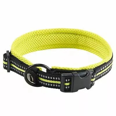 Large Dog Collars