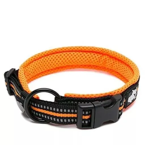 Large Dog Collars