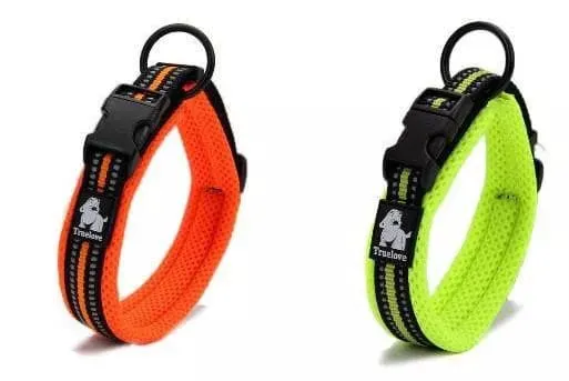 Large Dog Collars