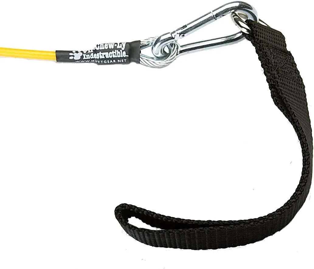 Leash for Dogs, Medium/5.6-Foot, Yellow