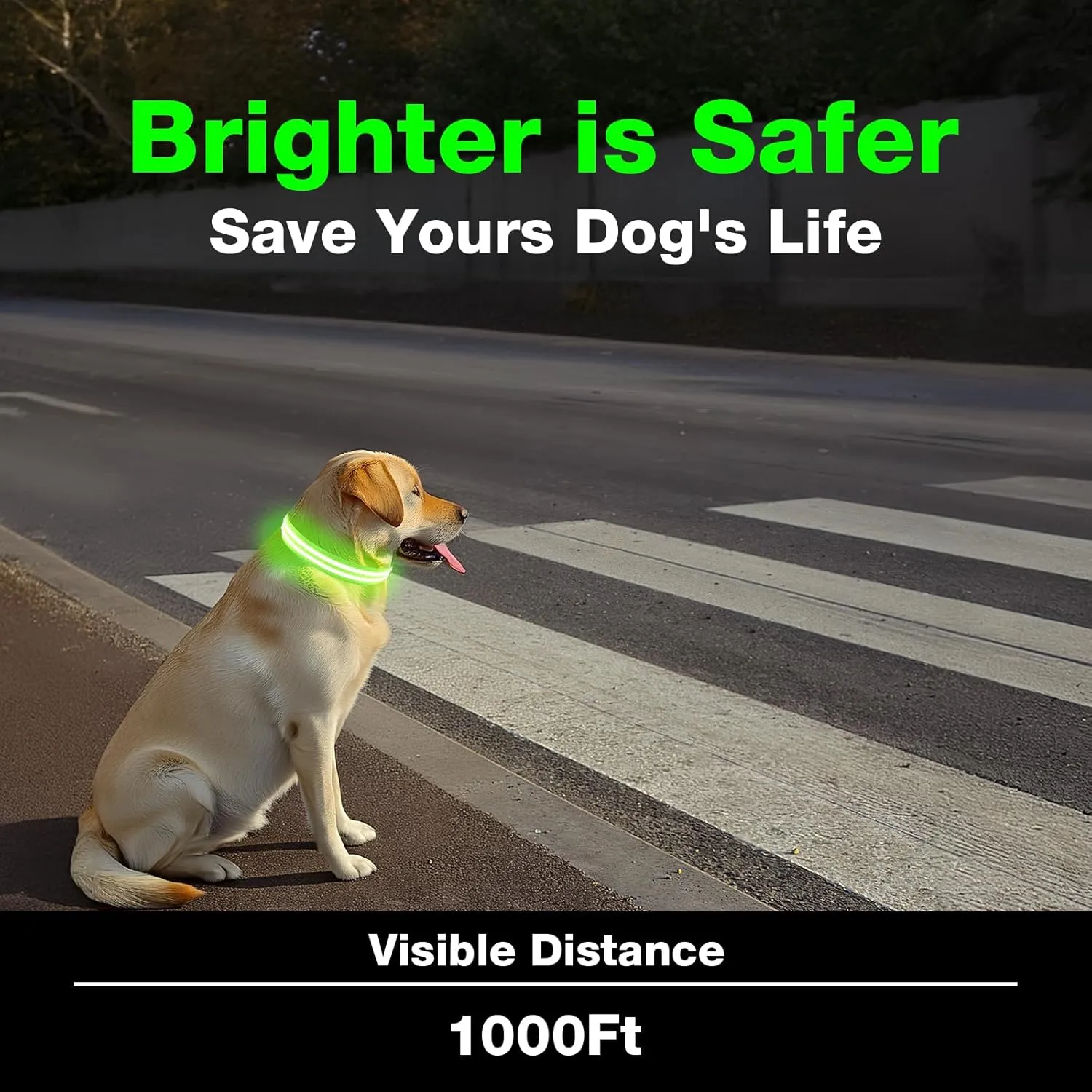 LED Dog Collar, Light Up Dog Collar, Lighted Dog Collars Adjustable for Night Walking, Glow in The Dark Dog Collars Light with USB Rechargeable Color Changing Waterproof for Dogs (Green, Small)