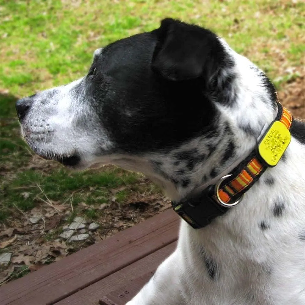 LuckyPet Pet ID Tag: Collar Tag - Attaches Flat to Any Collar - Perfect for Dogs or Cats - Custom Engraved - Durable and Silent! Small-Black-Rectangle