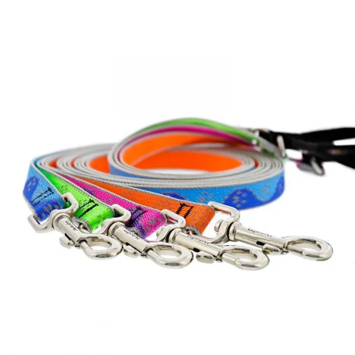 Lupine Pet Dog Reflective Collars & Lead