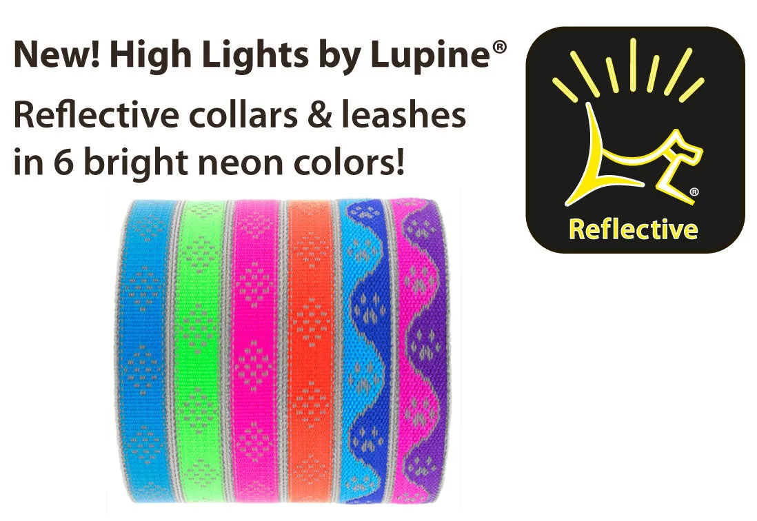 Lupine Pet Dog Reflective Collars & Lead
