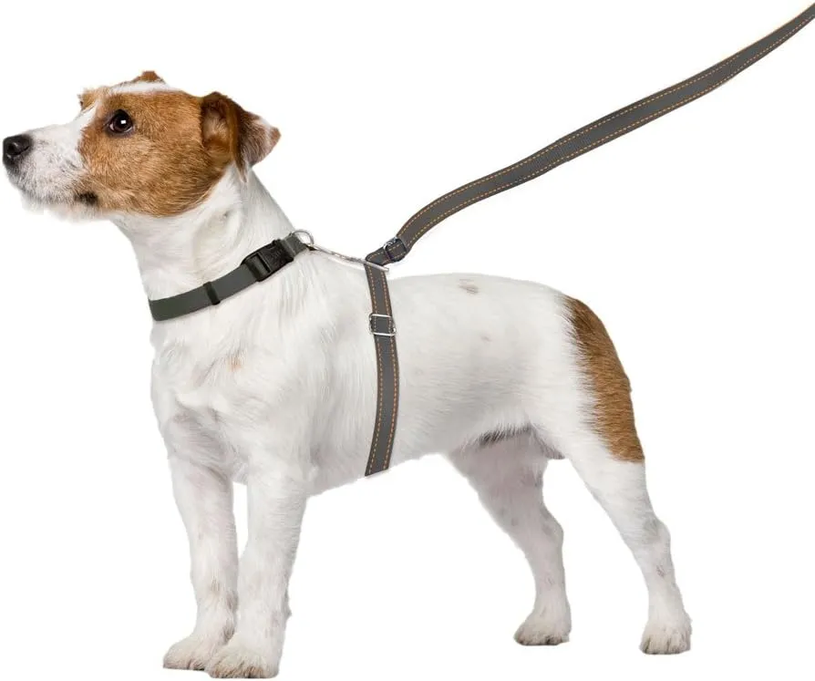 No-Pull Dog Leash (Large (Over 25 lbs), Grey)