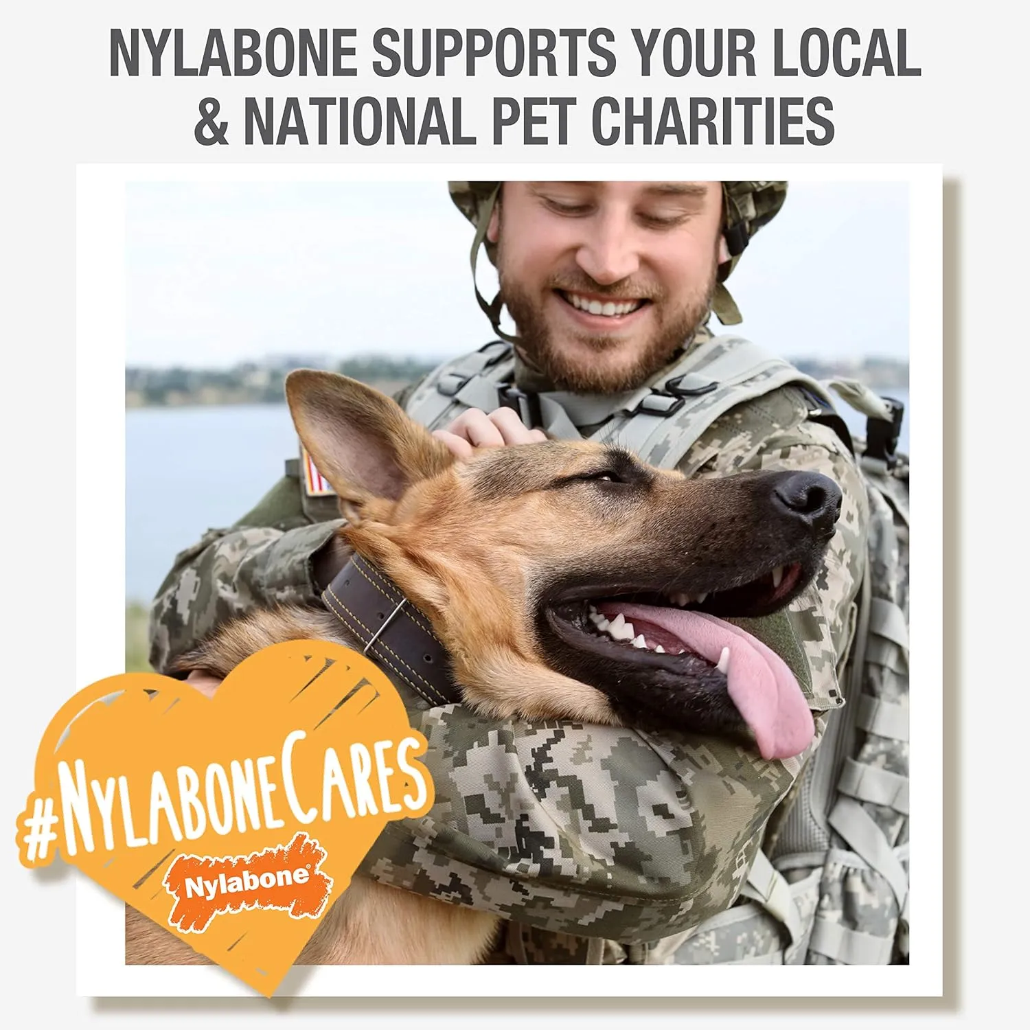 Nylabone Original Bone Power Chew Toy for Dogs, Durable & Tough Dog Toys for Aggressive Chewers, Peanut Butter Flavor, Small - Up to 25 lbs - Up to 25 Ibs, 1 Count